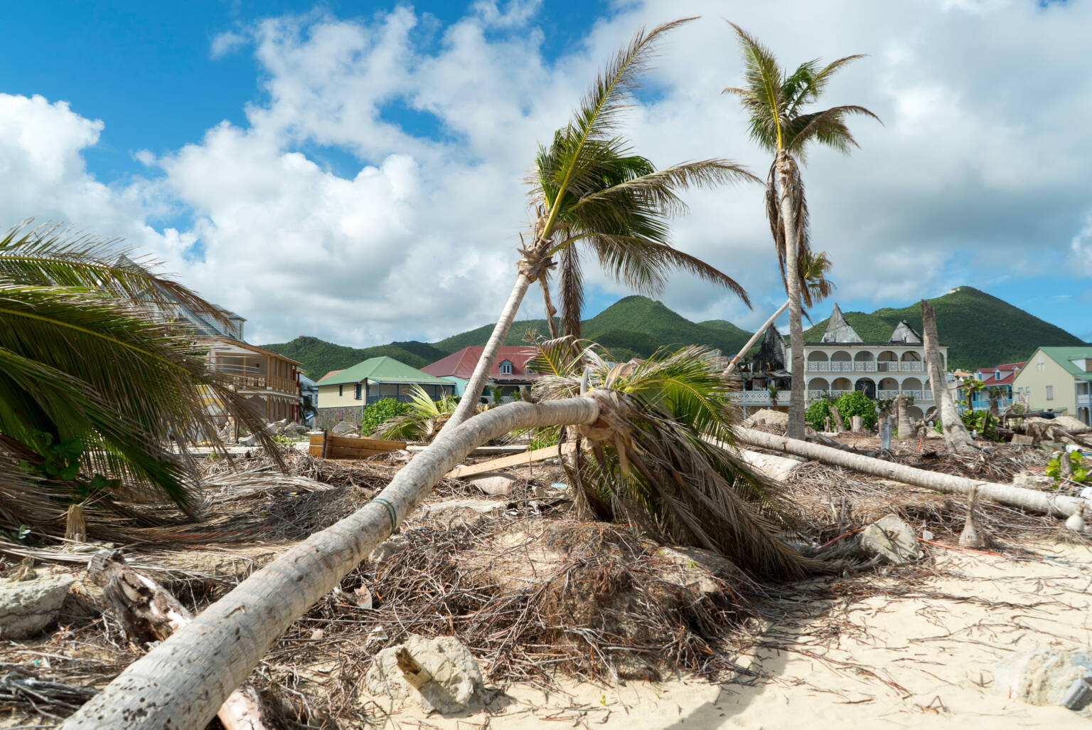 Urgence Cyclone Construire pour résister : l’urgence de renforcer les infrastructures ...