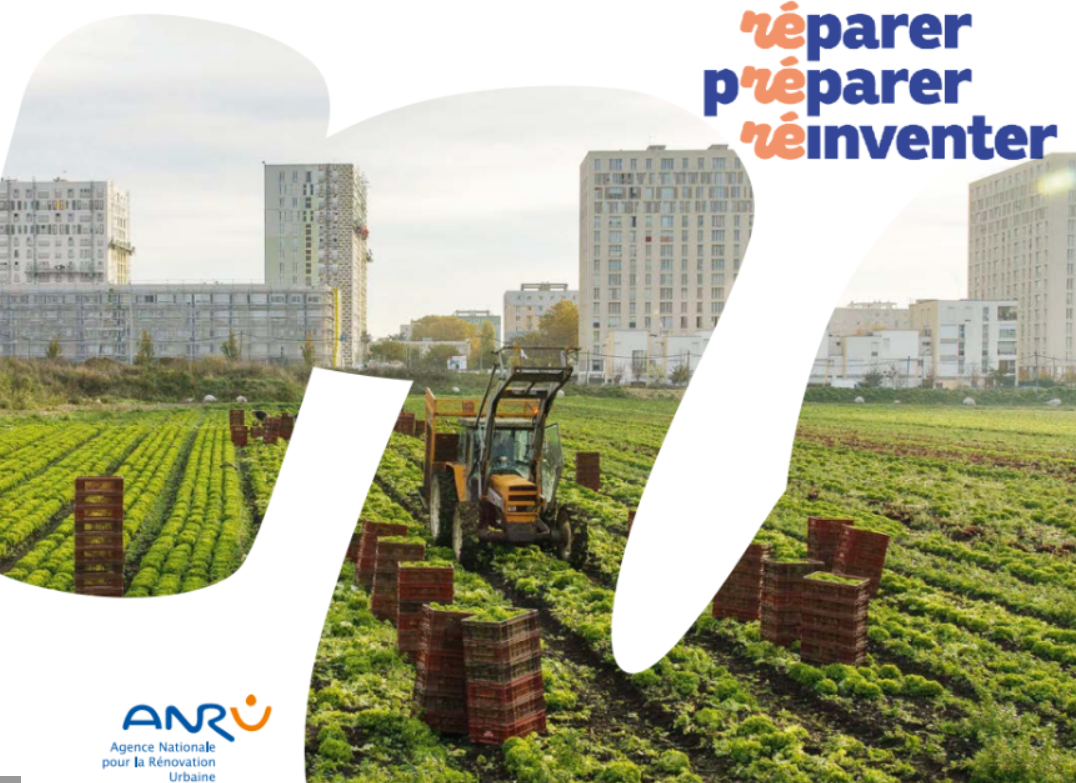 ANRU : les Outre-mer, oubliés des 20 ans de rénovation urbaine
