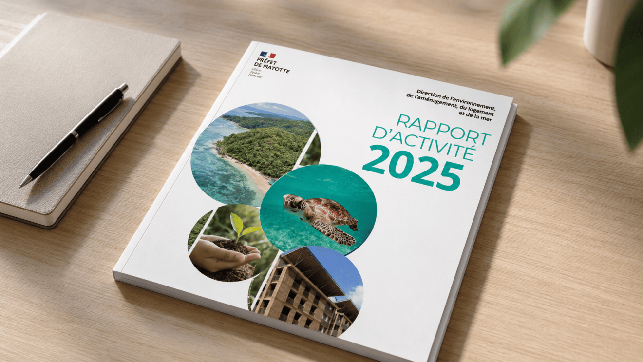 IMG RAPPORT